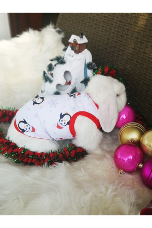Discontinued Pattern no 4 Nine X ThermoActive 100% Polyester Pet/dog Christmas Pyjama (NO RETURNS)